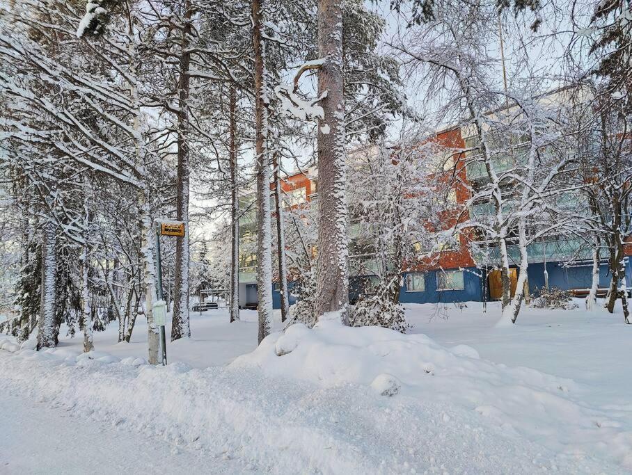 Spacious Apartment With Balcony And Free Wifi Rovaniemi Eksteriør bilde
